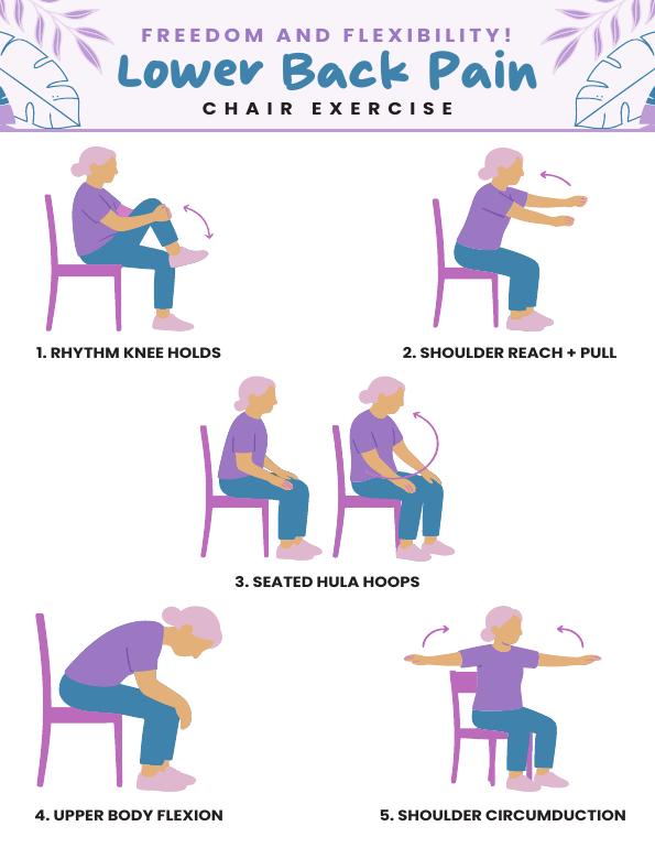 Chair Exercises for Lower Back Pain (Free Printable PDF)